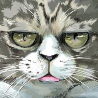 カドウノ (@barcacomposite) Twitter profile photo