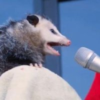 ᴰᵉᵛⁱˢᵉᵈᶜʰᵃᵒˢ (@devisedchaos) 's Twitter Profile