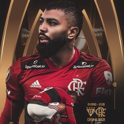 Quem um dia experimentou a emoção de ser Flamengo, nunca mais vai viver outra que se equipare!