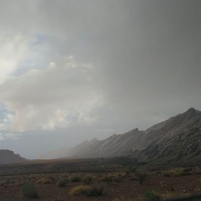 KoreyKoch5's profile picture. I just want a better world.
 Deadhead, Nature enthusiast. 🌹🏵️