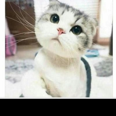 mariade87926378's profile picture. 🎼🧐