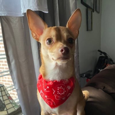 TgxTerra's profile picture. $TgxTerra