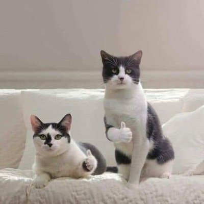 tmMayday's profile picture. Welcome 2 my twitter