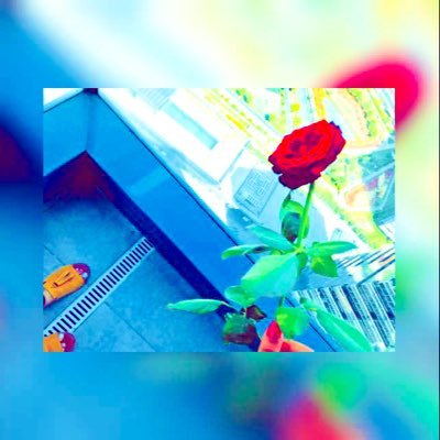 mawdda12146080's profile picture. English language