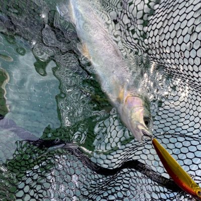 yuki_puni555's profile picture. twitter復帰。 大学時代呼び名ぷに。