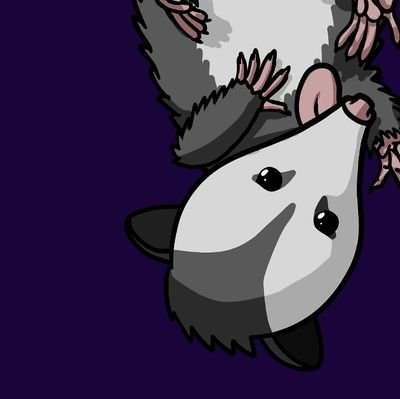 InapproPossum's profile picture. Hissy opossum, writer/blogger/novelist, BCBA, activist, neurodivergent, demi, martial artist, filthy SJW, chronic insomniac, she/they