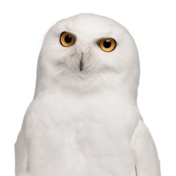 mimamo33's profile picture. 