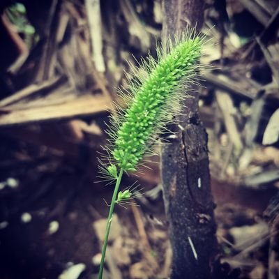 நீ வாழ்வதும் ஒரு முறைதான் நீ சாவதும் ஒரு முறைதான்