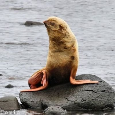 TheBenHarkins's profile picture. PDX Comedian. 🌘🌗🌖🤮🌔🌓🌒