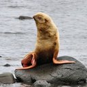 Ben Harkins - @TheBenHarkins - Twitter