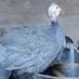 Zbigniew27🦃🐔🌾🚜 (@zbigniew27) Twitter profile photo Zbigniew27🦃🐔🌾🚜 (@zbigniew27) Twitter profile photo