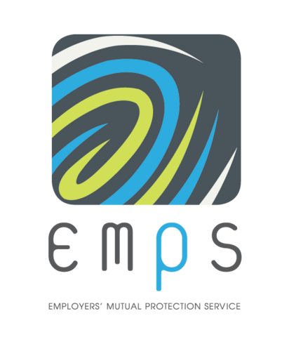 Emps toyota что это