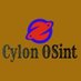 Cylon Osint (@CylonOsint) Twitter profile photo