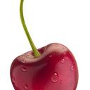 Barbara Petz - @BarbaraPetz1 - Twitter