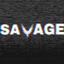 TeamSavage is Professional Team with cracked players and content creators we are looking for CallOfDuy, Valorant, Counter Strike and Fortnite Players