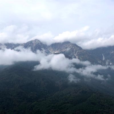 KPNIwZ2DeQ5uM9h's profile picture. 日本大好き🇯🇵基本平和主義者、健康志向、地球🌏大切☺️世界みんなが幸せに健やかに生きられますように✨笑顔と希望が最高の免疫力⤴️身の回りで起きている事実や気付きを呟きます。腸内環境無農薬野菜自然が大好き🥰