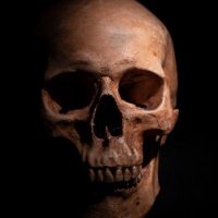 Shadehaven Cemetery Haunt(@ShadehavenHaunt) 's Twitter Profile Photo