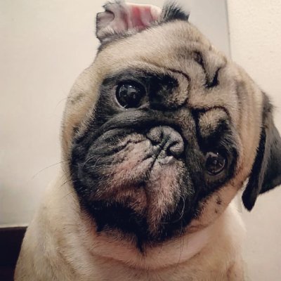 shiv_nanda's profile picture. +Digital Marketer