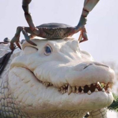 dera1223's profile picture. codm MPs3〜レジェ 名前の通りの雑魚です 基本フォロー返します 怠慢しか勝たん                      カムラの英雄