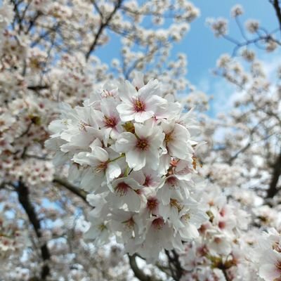 rererenorenge's profile picture. 