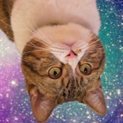 3umaumauma's profile picture. 