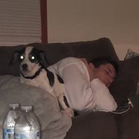 Steve Rice (@ricekrispy36) 's Twitter Profile