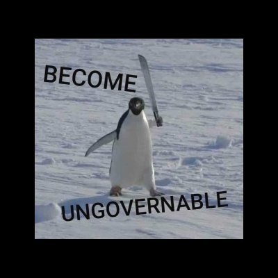 sarah_jellenc's profile picture. Analytics consultant #tableau #alteryx / literature, arts, & #digitalhumanities