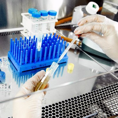 ATGprogram's profile picture. Applied Tumor Genomics Research Program aims to advance the understanding of the genetic and environmental signals that lead to neoplasia.