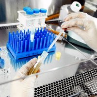 Applied Tumor Genomics (ATG) (@atgprogram) 's Twitter Profile