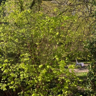 dieserstuhl's profile picture. Im Hinterhof, da ist ein Stuhl. Korbgeflochten, weiß und blau. Es regnet auf den Stuhl und schneit. Niemand sitzt darauf. Ich kenne keinen Weg in den Hinterhof.