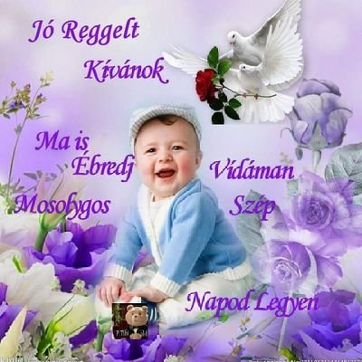 addrew20's profile picture. 