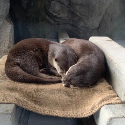 emt_nkg's profile picture. 寝ても覚めてもニート