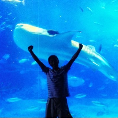 10万円からライブ配信で本気で億トレーダー目指します😃 ライブ配信 基本欧州時間(変動あり)https://t.co/zd8gWntN63
