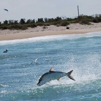 JB in Oz (@sflfishing) 's Twitter Profile