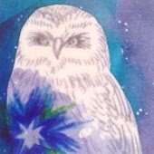 泉はるか┊ 𝑰𝒍𝒍𝒖𝒔𝒕𝒓𝒂𝒕𝒐𝒓 (@haruka11sss) 's Twitter Profile Photo 泉はるか┊ 𝑰𝒍𝒍𝒖𝒔𝒕𝒓𝒂𝒕𝒐𝒓 (@haruka11sss) 's Twitter Profile Photo