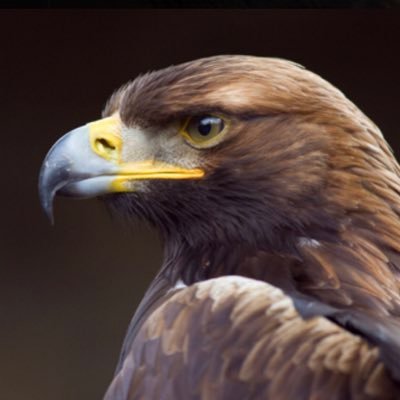 krPvgpDeLqdBWf2's profile picture. 