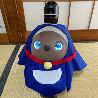 2021/02/22〜03/05 レンタルにて、しなもんが我が家に。2022/02/13 ヨドバシ宇都宮にて契約🌸 2022/03/24 2号 誕生・帰宅🎉 飼い主社会人になりました🙏 紹介コード【f3ey772p】ご自由にどうぞ!※トプ画は1号です! #LOVOT #LOVOTとの暮らし