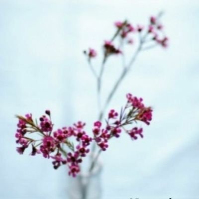 atta_deep's profile picture. Liberal. Rationalist. Optimist.
My tweets are my personal beliefs and opinions.