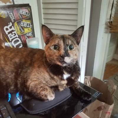 25/F/New England. Don't take this account too seriously.