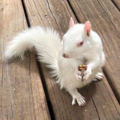 AngieMc93964218's profile picture. 