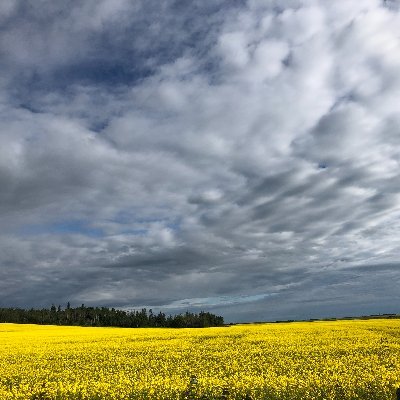 Endowment funds, legacy builders, community strengthener, encompassing Dawson Creek, Pouce Coupe, Taylor and Hudson's Hope and beyond.Your Community Foundation.