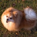 Harry Covington - @Duckathome - Twitter