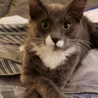 π
Ίππ
΄ π
Όπ
΄ππ
΄π (@kyelmeyer) 's Twitter Profile