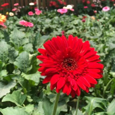 obeed34's profile picture. 