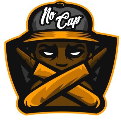 NoCapGaming5 Profile Picture