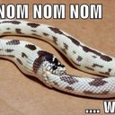 Blake Newman - @rofl_stoner - Twitter