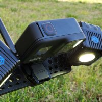 Paula Ramos-Giraldo (@pjramg) 's Twitter Profile