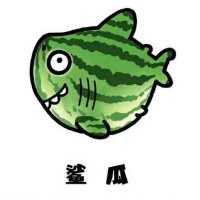 YY zhang (@yyzhang12) 's Twitter Profile