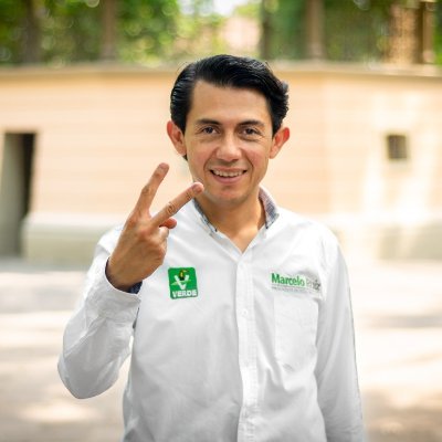 Coordinador del Comité Ejecutivo Nacional del Partido Verde Ecologista de México en la Tercera Circunscripción.
 #SerVerdeesEs seguir tabajando por México