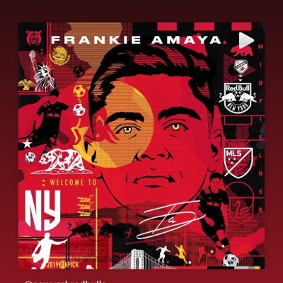 Frank Amaya Profile